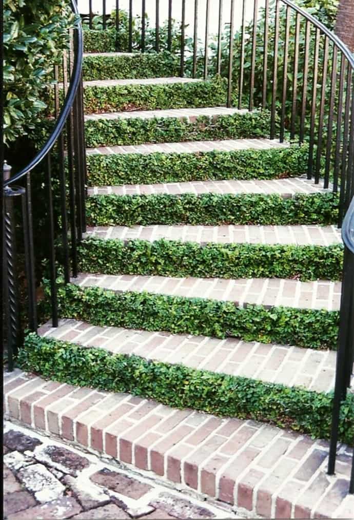Feel the Nature! 15 Examples of Natural Staircase