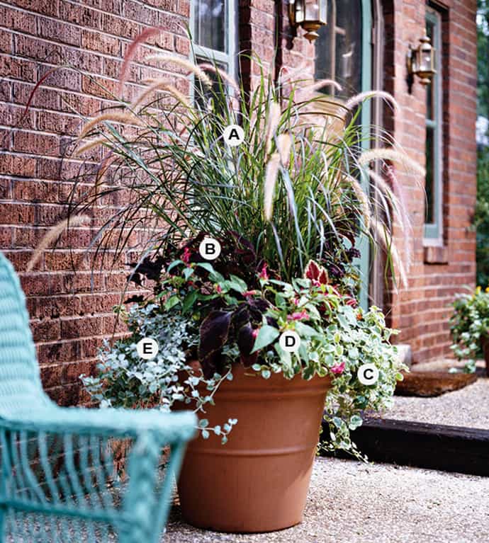 25 Container Gardens Recipes to Express Your Personality