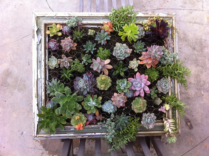 Cool DIY Green Living Wall Projects For Your Home | DesignRulz