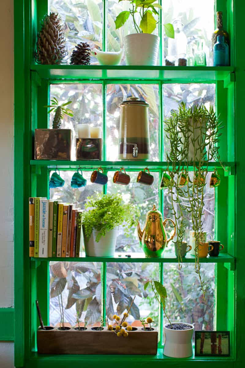 window kitchen shelf garden herb plants diy shelves windows green plant glass greenhouse shelving display herbs over wood designrulz trim