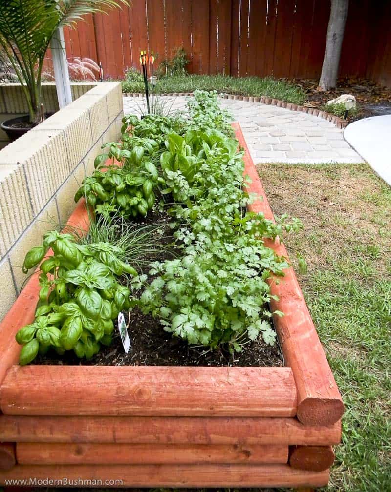 Raised Garden Beds: How to Build and Install Them