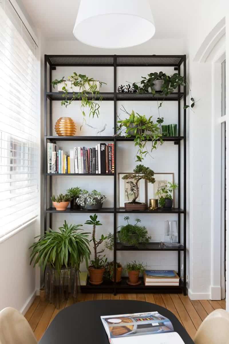 How To Decorate Your Interior With Green Indoor Plants And Save Money