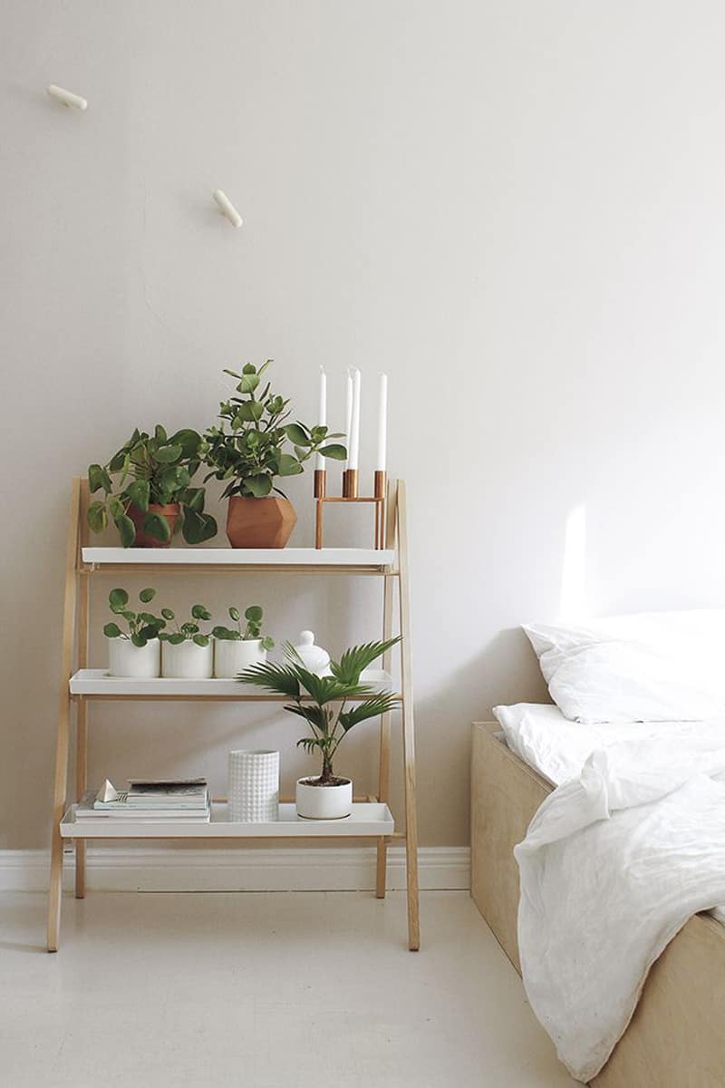 plants interior decorate indoor money bedroom plant decor designrulz modern decoration rooms living simple
