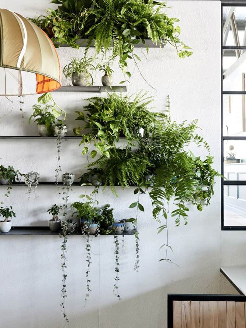 Simple Indoor Plants Interior Design with Electrical Design