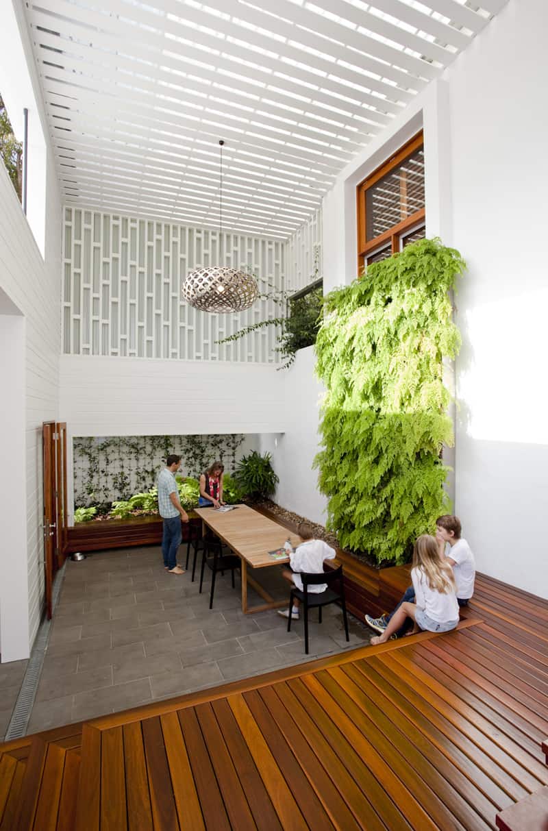 plants interior indoor decorate money designrulz
