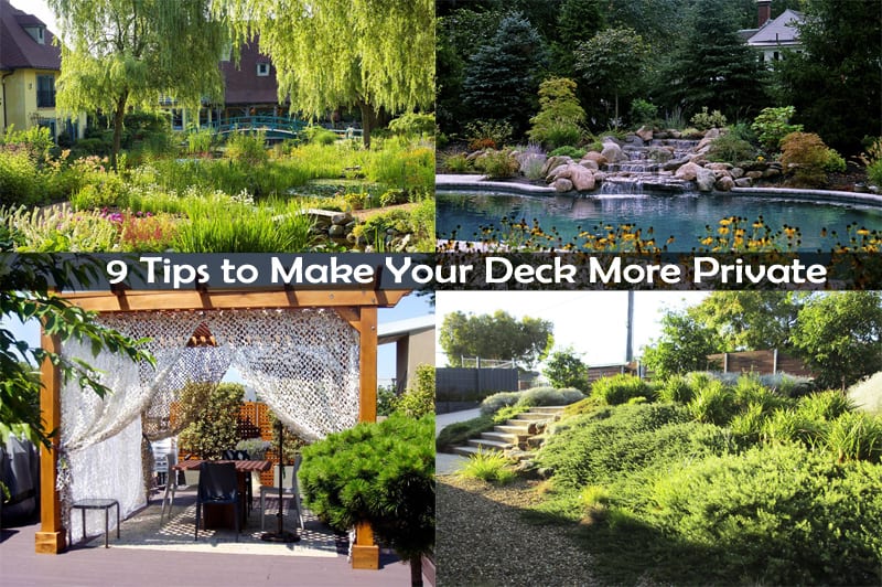 9 Tips to Make Your Deck More Private