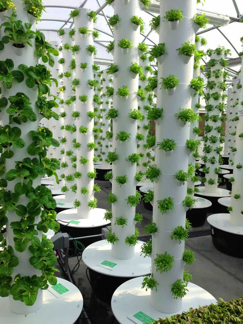 27 Tower Garden Ideas For Vertical Gardening Homesteading Diy Indoor Vertical Tower Garden Self 