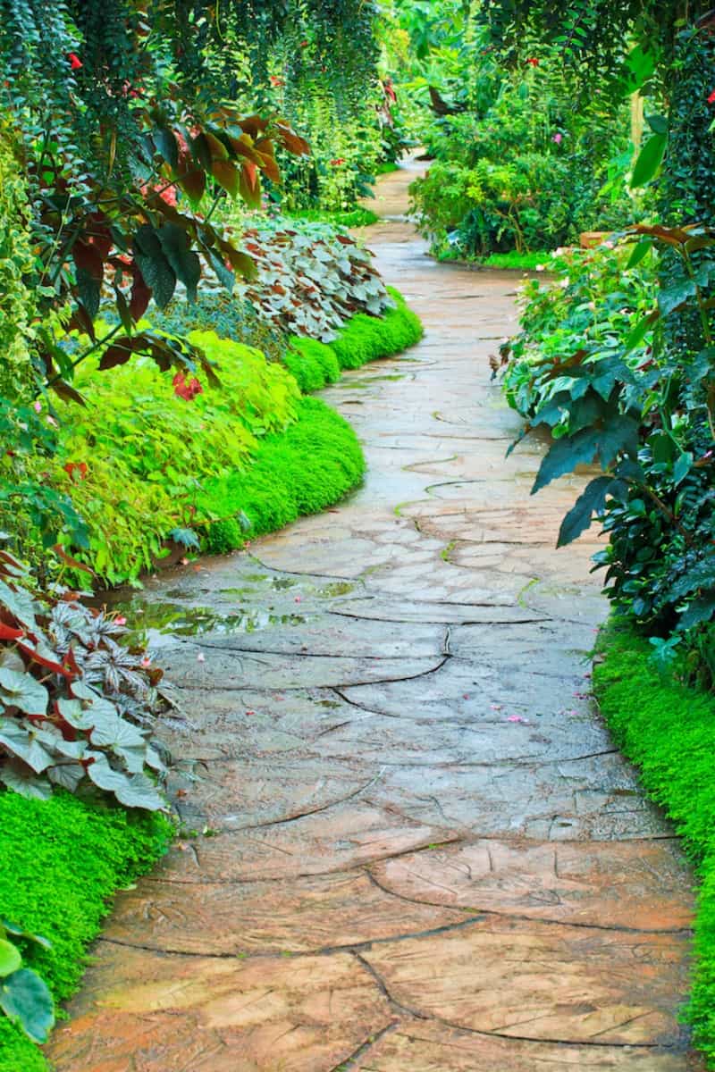 35 Garden Paths That Take Joy in the Journey