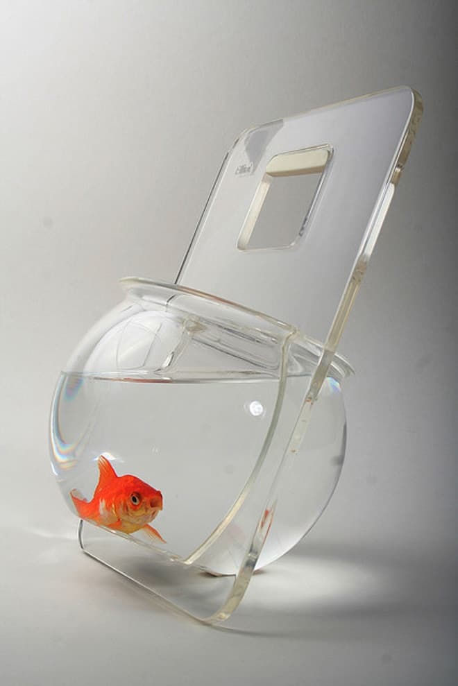 Portable Aquarium Fish  Bowl Model by Michael Shabtiali