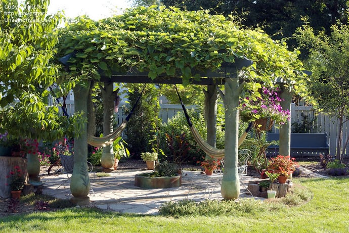 pergola garden