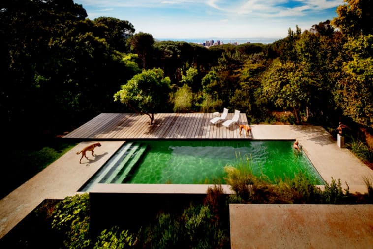 Contemporary South African Architecture Features Local Luxuries by ...