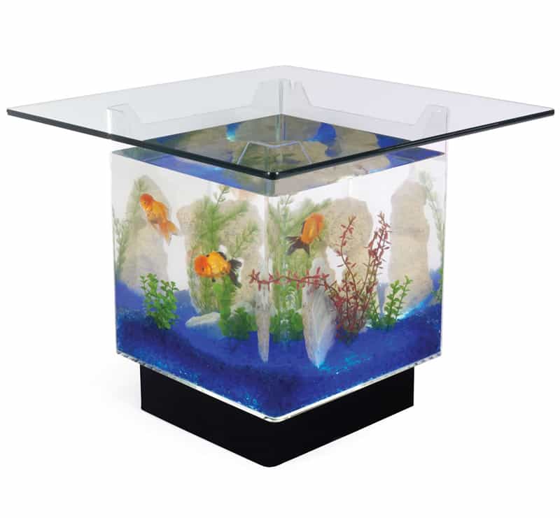 designrulz_coffe-table-aquarium (2)