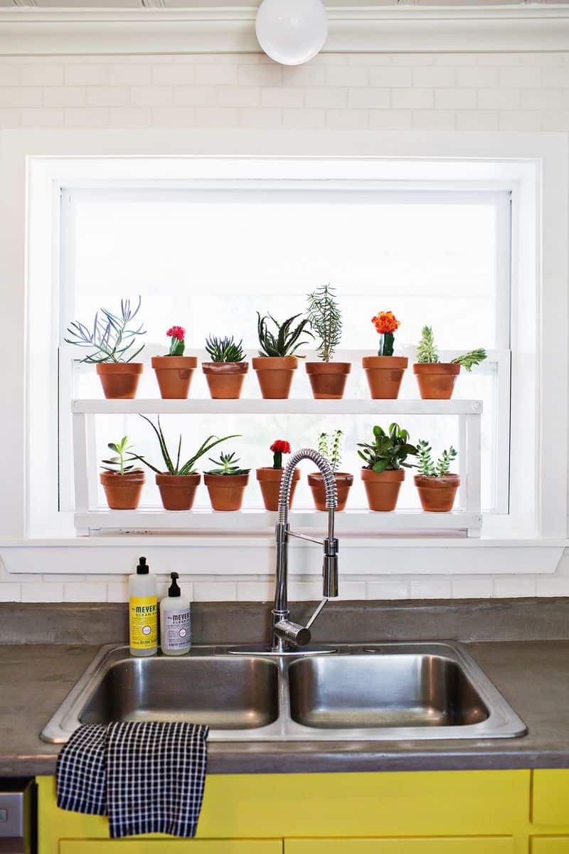 DIY 20 Ideas of Window Herb Garden for Your Kitchen