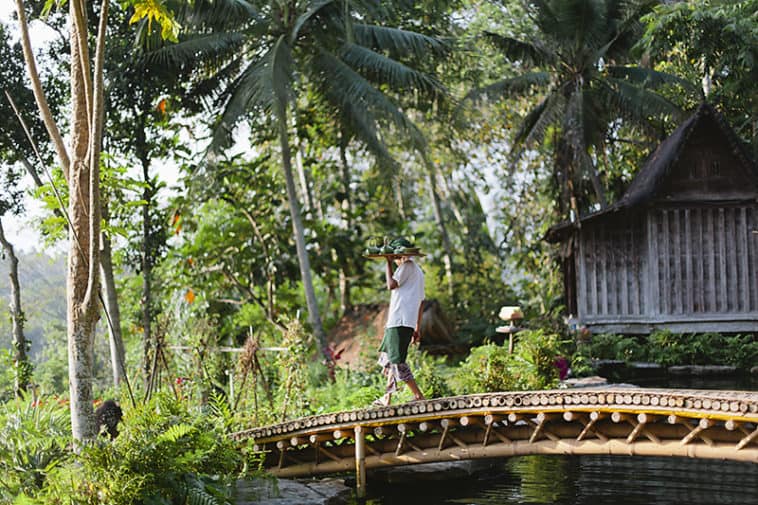 Bambu Indah Resort- An Unforgettable Experience For Nature Lovers, Bali