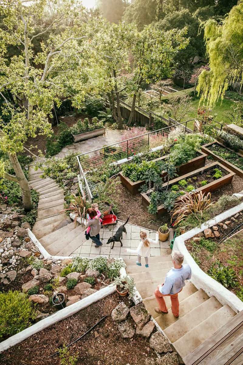 Amazing Ideas To Plan A Sloped Backyard, How To Landscape A Steep Slope For Beauty And Low Maintenance