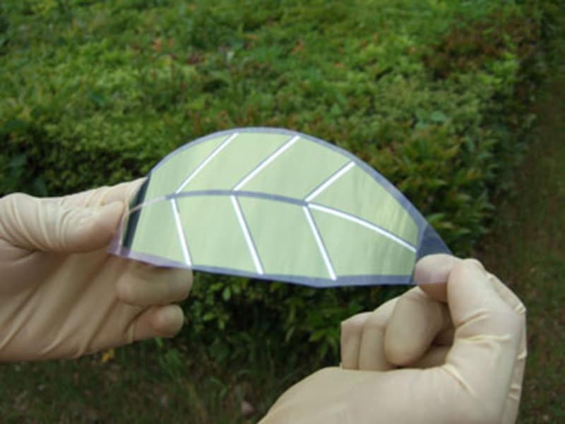 Artificial Leaves Act as Solar Cells
