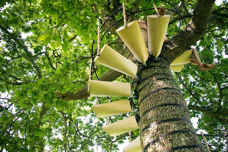 Spiral Staircase For Your Backyard Tree-designrulz (2)