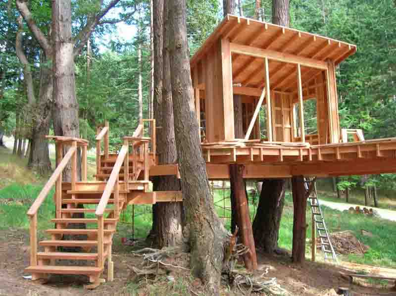 Treehouse in the Backyard-DESIGNRULZ (12)