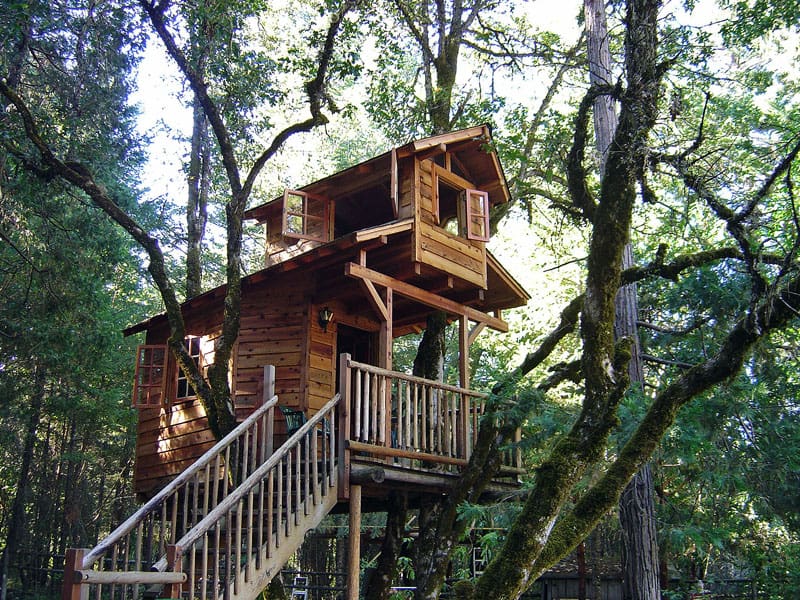 Treehouse in the Backyard-DESIGNRULZ (15)