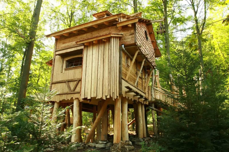 How to Build a Treehouse in the Backyard