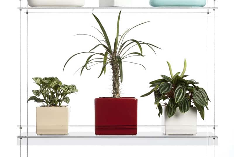 Hanging Window Plant Shelves dezignrulz (3)