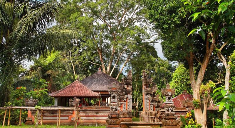 Nandini Bali Jungle Resort-designrulz (1)