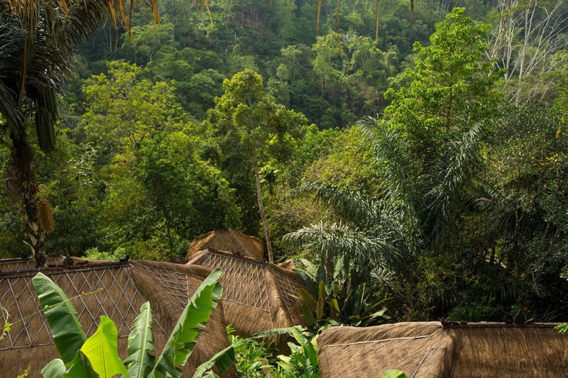 Nandini Bali Jungle Resort-designrulz (37)