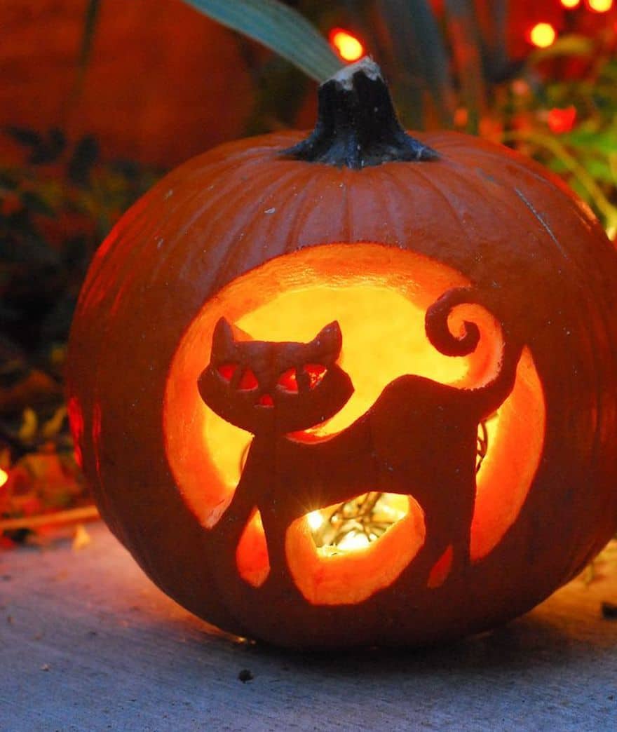 Best Pumpkin Carving Ideas The Internet Has Ever Seen