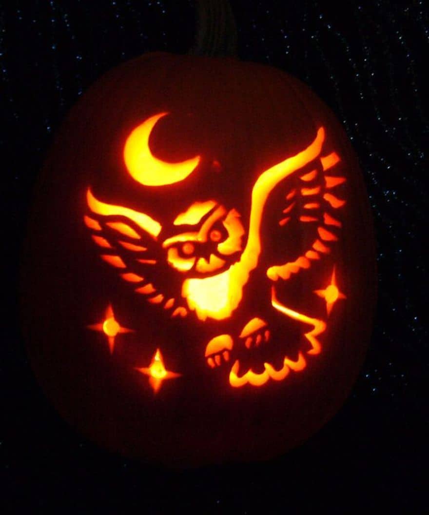 owl pumpkin ideas