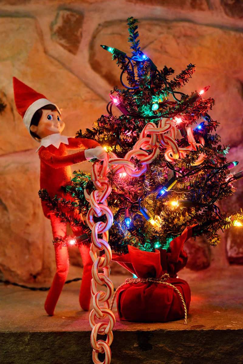 Elf assisting to set the Christmas lights