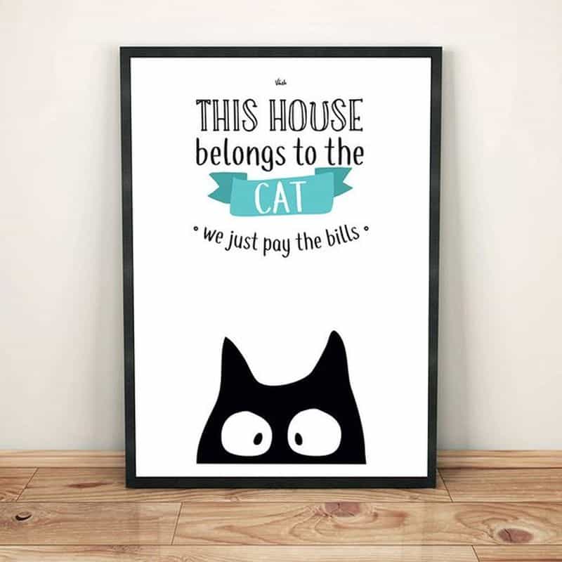 funny cat posters