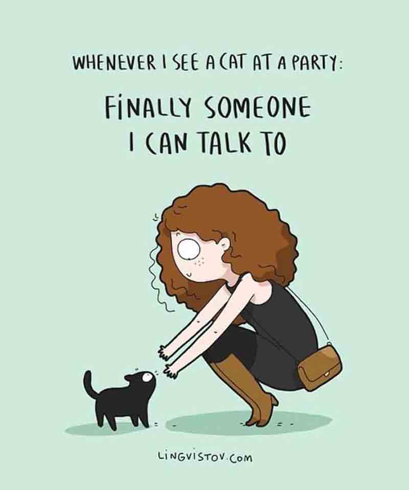 The 30 Funniest Cat Poster Quotes to Hang on Your Walls
