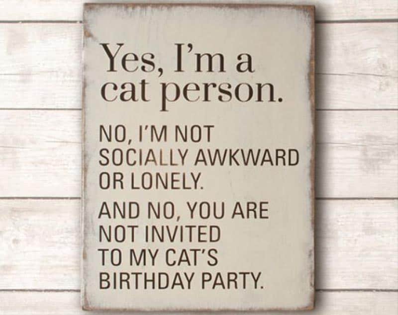 funniest cat poster quotes