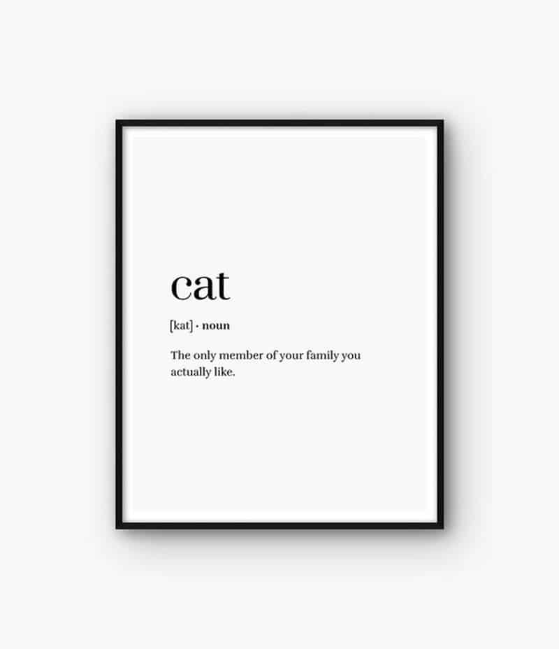 funniest cat quotes